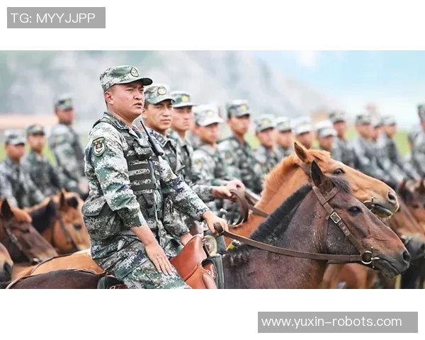 武汉网球队的奋斗与荣耀：一段不平凡的网球之路纪实