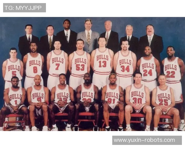 芝加哥公牛队的辉煌与未来