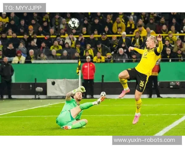 勒沃库森足球队的崛起与挑战：德国足球新力量的崭露头角